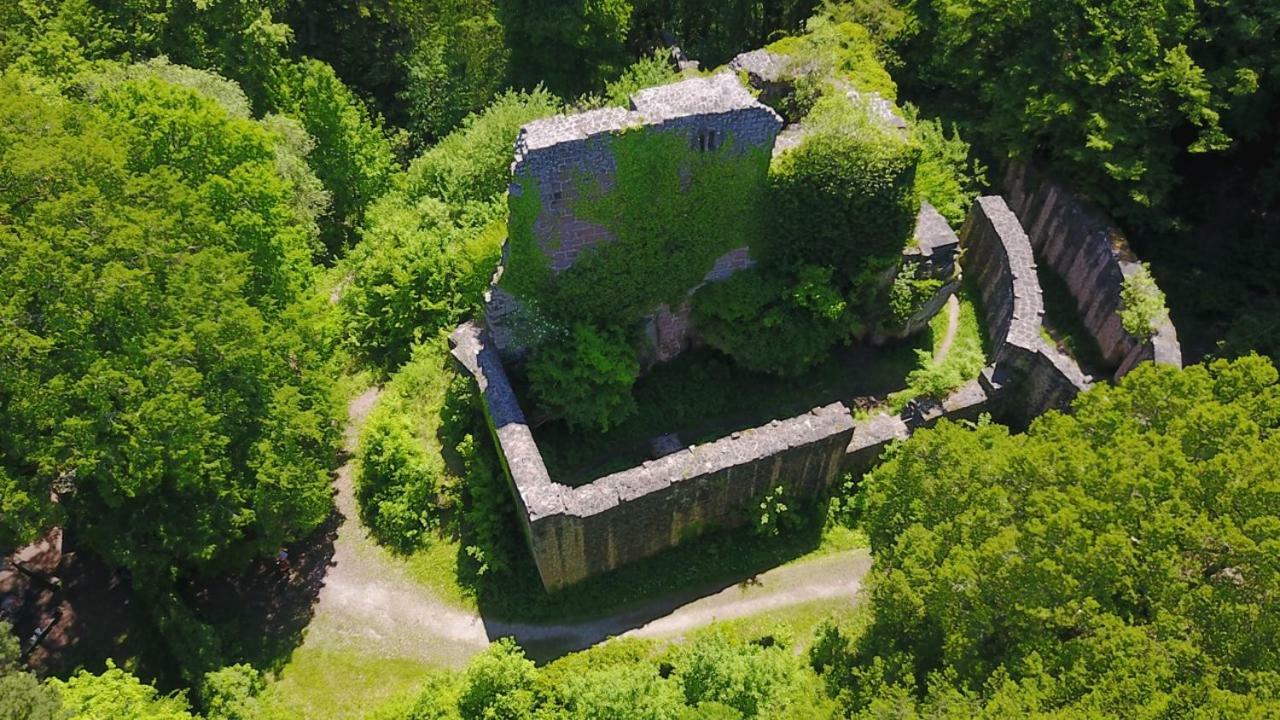 Bungalow im Schwarzwald auf wunderschönem Anwesen Neubulach Exterior foto